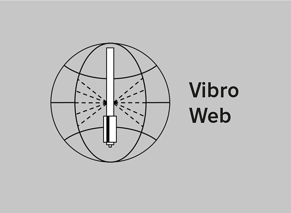 Logo der Datenübertragungssoftware VibroWEB. Globus mit Beschriftung
